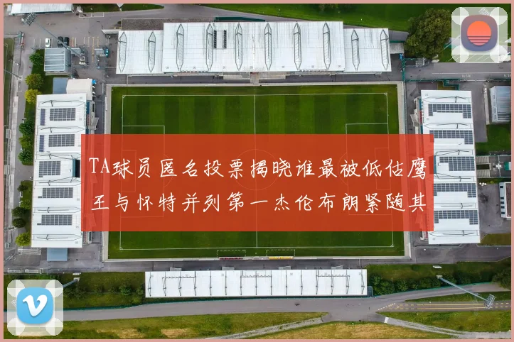 TA球员匿名投票揭晓谁最被低估鹰王与怀特并列第一杰伦布朗紧随其后